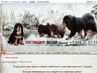 Extream-bear.ru