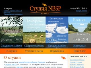 Студия NBSP: Создание сайтов в Брянске, разработка сайтов, продвижение.
