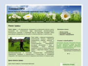 Покос травы и стрижка газонов в СПб и ЛО | Сенокос ПРО