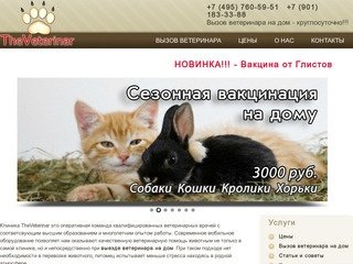 TheVeterinar Ветеринары на дом круглосуточно. Сеть клиник