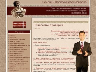 Налоговые проверки