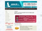 Web-ресурс Apteka-66.Ru (препараты для мужчин) в Нижнем Тагиле