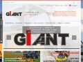 Погрузчики GiANT в России. Продажа мини погрузчиков. Купить фронтальный