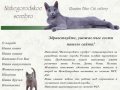 Питомник русских голубых кошек "Нижегородское серебро"