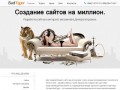 Создание сайтов в Днепропетровске, разработка и продвижение сайтов. Компания BadTiger.