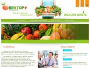 «Вектор+» - фрукты и овощи со всего мира. Оптовые поставки со склада в Санкт-Петербурге.
