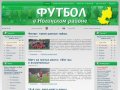 Футбол в Ногинском районе: Первенство и Кубок им. Г. И. Федотова