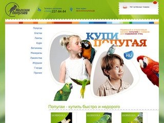 Купить попугая в Москве. Продажа говорящих попугаев.