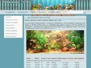 Обслуживание и продажа аквариумов в Туле - от идеи до волшебного мира аквариумистики один шаг