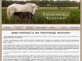 Племконзавод 'Казанский'- разведение лошадей русской и американской рысистых