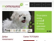 Модельные стрижки и гигиенические процедуры для  собак в Костроме | Пошив одежды для животных