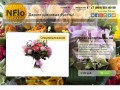 NFlo интернет-магазин цветов. Бесплатная доставка цветов Архангельск.