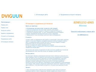 Продвижение в поисковых системах интернет-магазинов и сайтов в Москве