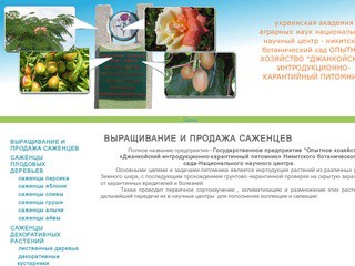 Выращивание и продажа саженцев - Джанкойский питомник - саженцы оптом