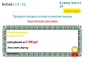 Kotel116.ru :: Газовые котлы, комплектующие, газовые котлы казань, котлы в казани
