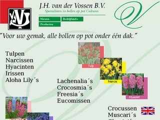 J.H. van der Vossen BV. (Gespecialiseerd in potplanten) - цветы из Голландии