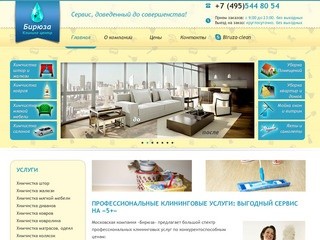 Профессиональный клининг в Москве от компании «Бирюза»