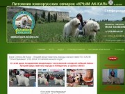 Питомник южнорусских овчарок 