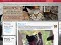 Animal-orsk.ru - сайт помощи бездомным животным города Орск