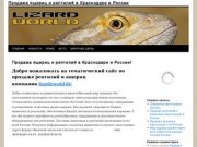 Продажа ящериц и рептилий в Краснодаре и России 