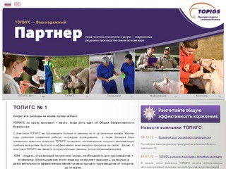 Что такое ТОПИГС — Компания «ТОПИГС» (Россия, Белгород)