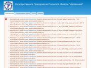 Об организации | Государственное Предприятие Псковской области "Медтехника"
