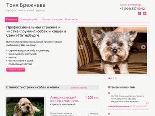 Профессиональная стрижка и чистка собак и кошек в Санкт-Петербурге