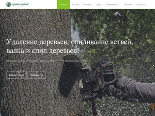 Удаление деревьев в Пушкино, Мытищи, Королев