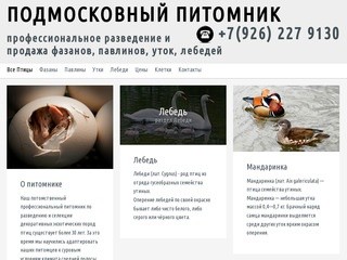 Купить фазанов, павлинов, уток в Москве и Московской области