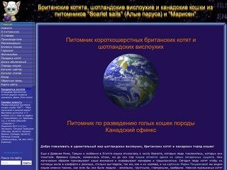 Новосибирские питомники шотландских вислоухих, британских котят и канадских пород кошек