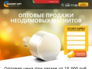 Продажа неодимовых магнитов оптом в Москве от производителя