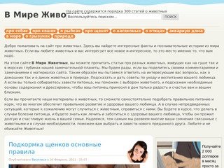 В Мире Животных | Самые интересные животные и животный мир