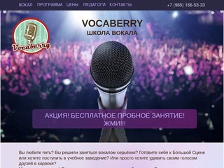 Индивидуальные уроки в школе вокала в Москве | Vocaberry