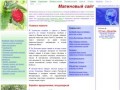 Alp-print.ru Главные новости, сад, кулинария, здоровье, образование