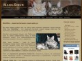 Manil Sibur – питомник кошек мейн-кун в Перми