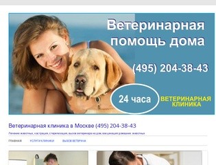 Ветеринарная клиника в Москве (495) 204-38-43 | Лечение животных
