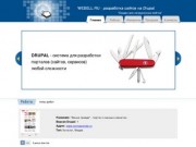 WEBELL.RU - разработка и поддержка сайтов на Drupal г. Уфа, г. Стерлитамак. Разработка логотипов.
