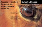 Конный клуб "Конемания" - Нижний Новгород, катание на лошадях