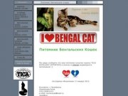 Питомник Бенгальских кошек MurenaCat bengals