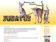 Питомник ориентальных кошек в Чебоксарах - Jubatus - Новости/ News