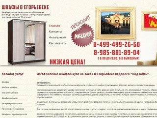 Шкафы-Купе на Заказ Дешево в Егорьевске 