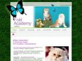 "Fold Academy" - питомник шотландских вислоухих кошек (Екатеринбург)