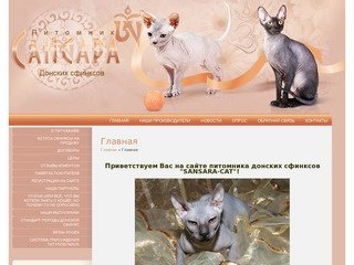 Котята донских сфинксов Питомник Сансара г. Москва