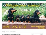 Ветеринарные клиники Москвы | Круглосуточная ветеринарная помощь