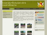 Студенческая футбольная лига Воронежской области
