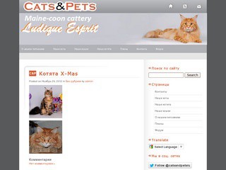 CATS&amp;PETS.ru - питомник кошек породы Мейн кун "Ludique Esprit" (регистрация в WCF) котята породы Maine Coon от титулованных производителей (аборигенная американская порода - самая крупная порода домашних кошек)
