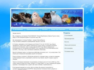 Питомник котят в Новосибирске
