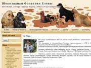 Шоколадная Фантазия Елены | питомник декоративных пород собак в Екатеринбурге