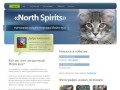 North Spirits: норильский питомник кошек породы Мейн-кун