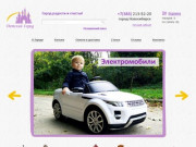 "Детский город" - интернет-магазин современных детских товаров